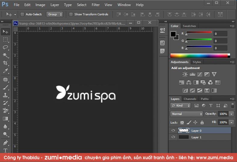 logo zumispa w