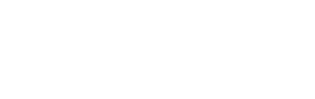 Logozumistore-w