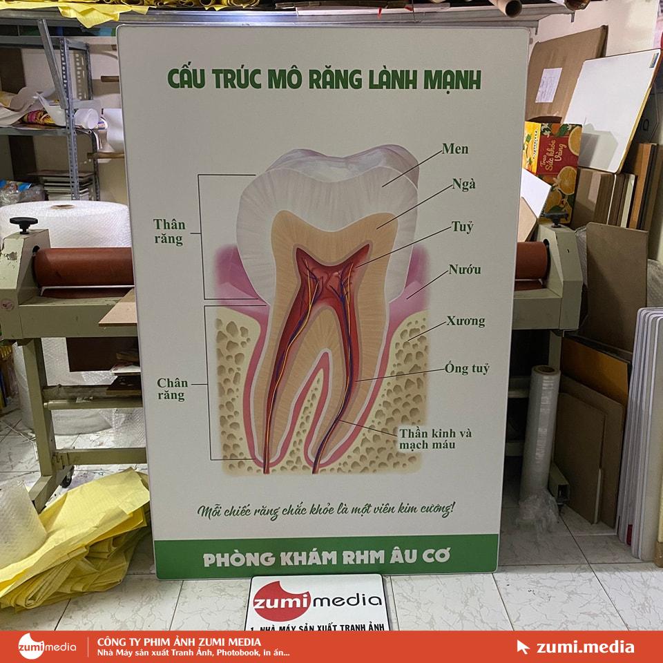 Nhà máy sản xuất tranh ảnh, in tranh trang trí phòng khám bệnh viện 7 Nha may sx tranh anh in tranh trang tri phong kham benh vien 9