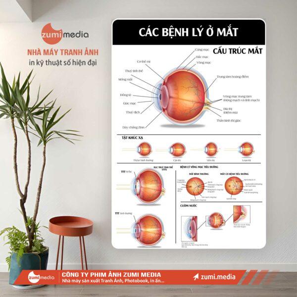 Tranh Y Tế 12 in tranh nha khoa gia re uy tin tai ba dinh 2 13313